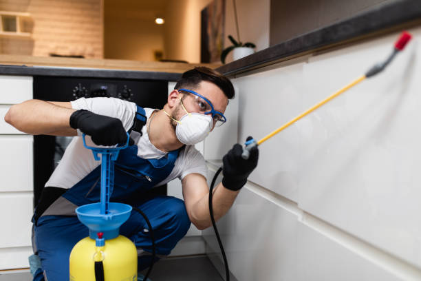 Best Affordable Pest Control Services  in Platteville, WI