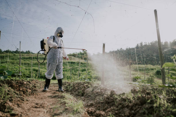 Pest Control Cost in Platteville, WI
