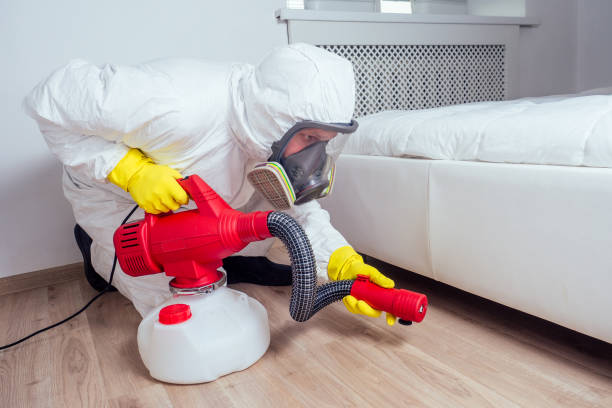 Best Bed Bug Extermination  in Platteville, WI