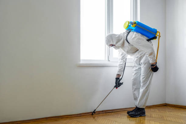 Best Mosquito Control Services  in Platteville, WI
