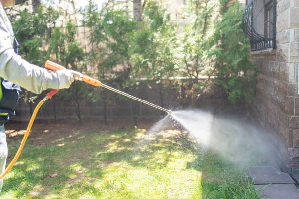 Best Residential Pest Control  in Platteville, WI
