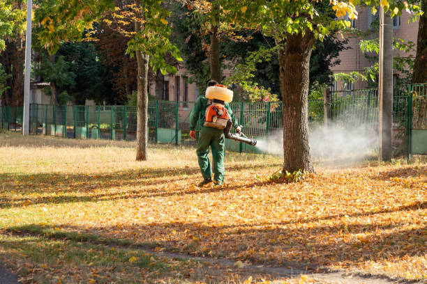 Best Local Pest Control Services  in Platteville, WI